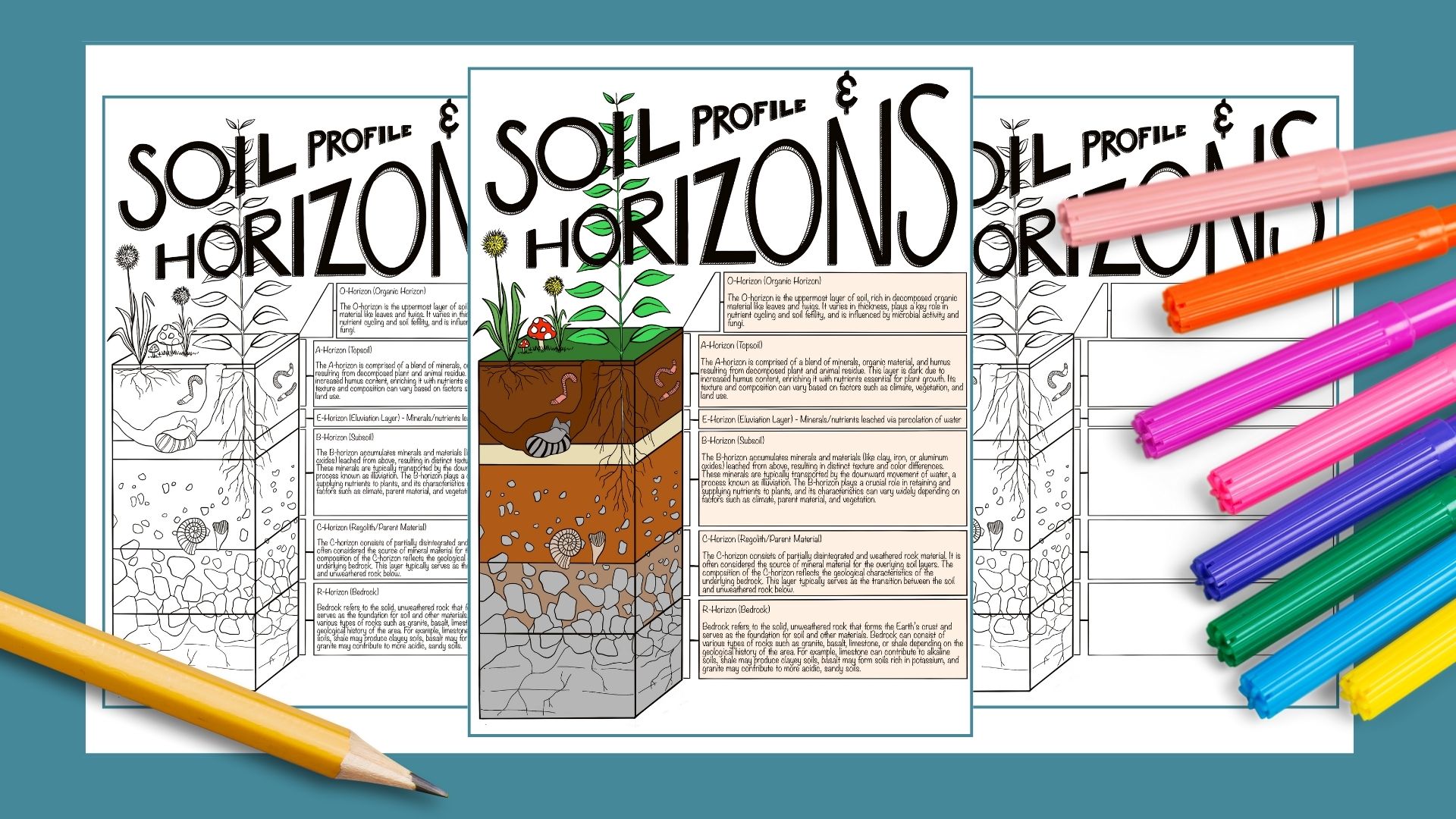 Soil Profile and Horizons Coloring Page